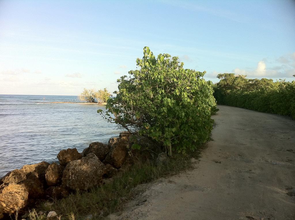 Caraibe Creol' Keys Διαμέρισμα Port-Louis Δωμάτιο φωτογραφία